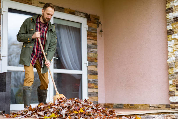 Best Yard Waste Removal  in Rochelle, IL